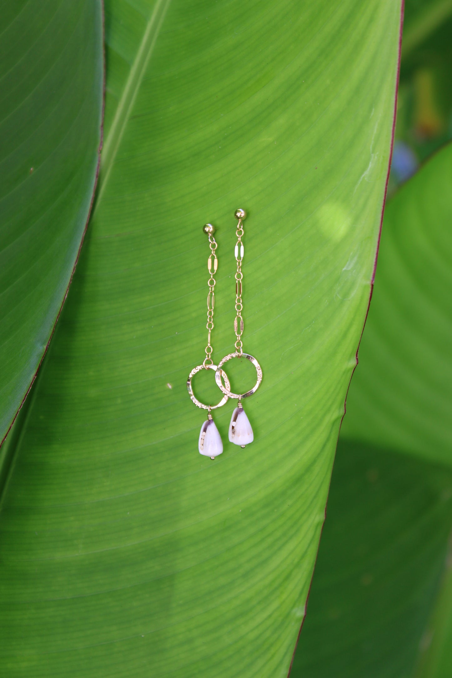 Ruffled Ring Cone Shell Drop Earrings