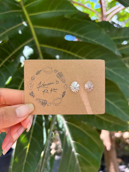 ʻOpihi ʻAwa Studs