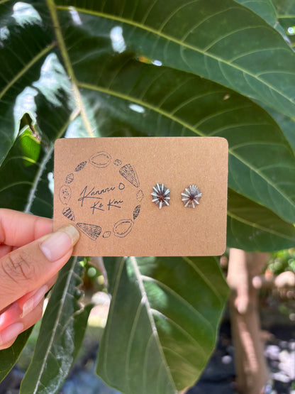 ʻOpihi ʻAwa Studs