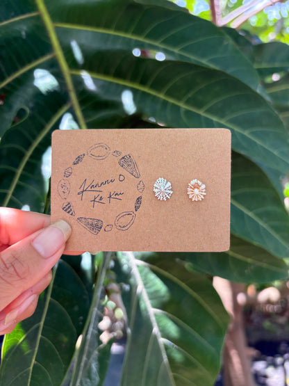 ʻOpihi ʻAwa Studs
