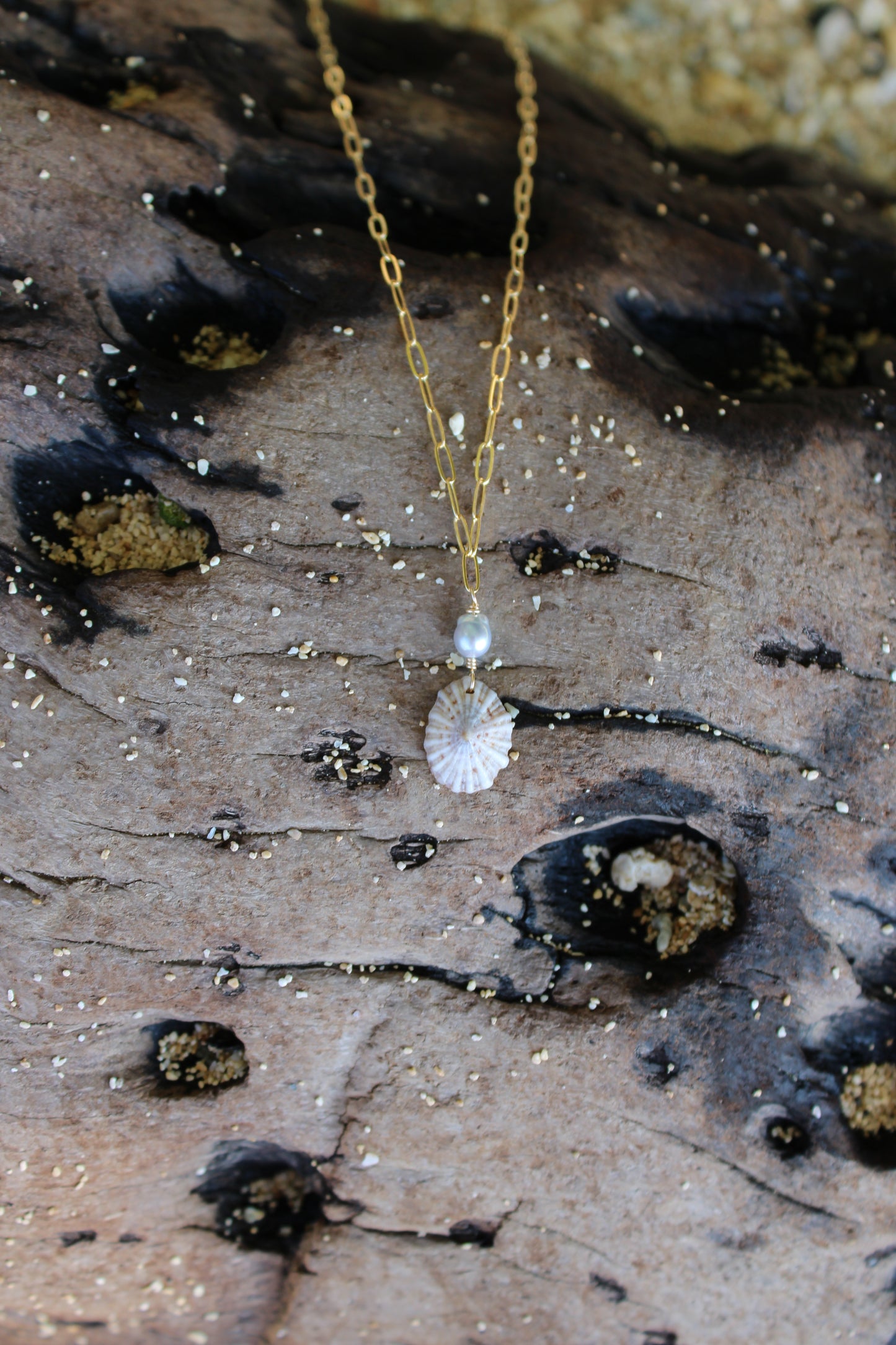 ʻOpihi ʻAwa Necklace